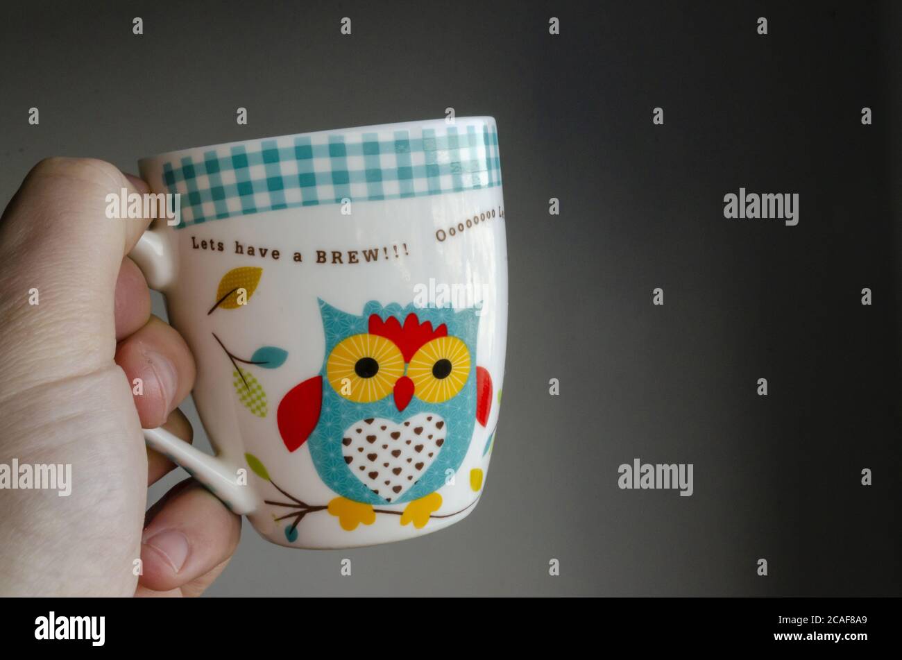 Closeup  of someone holding a white mug with an owl on the black background Stock Photo