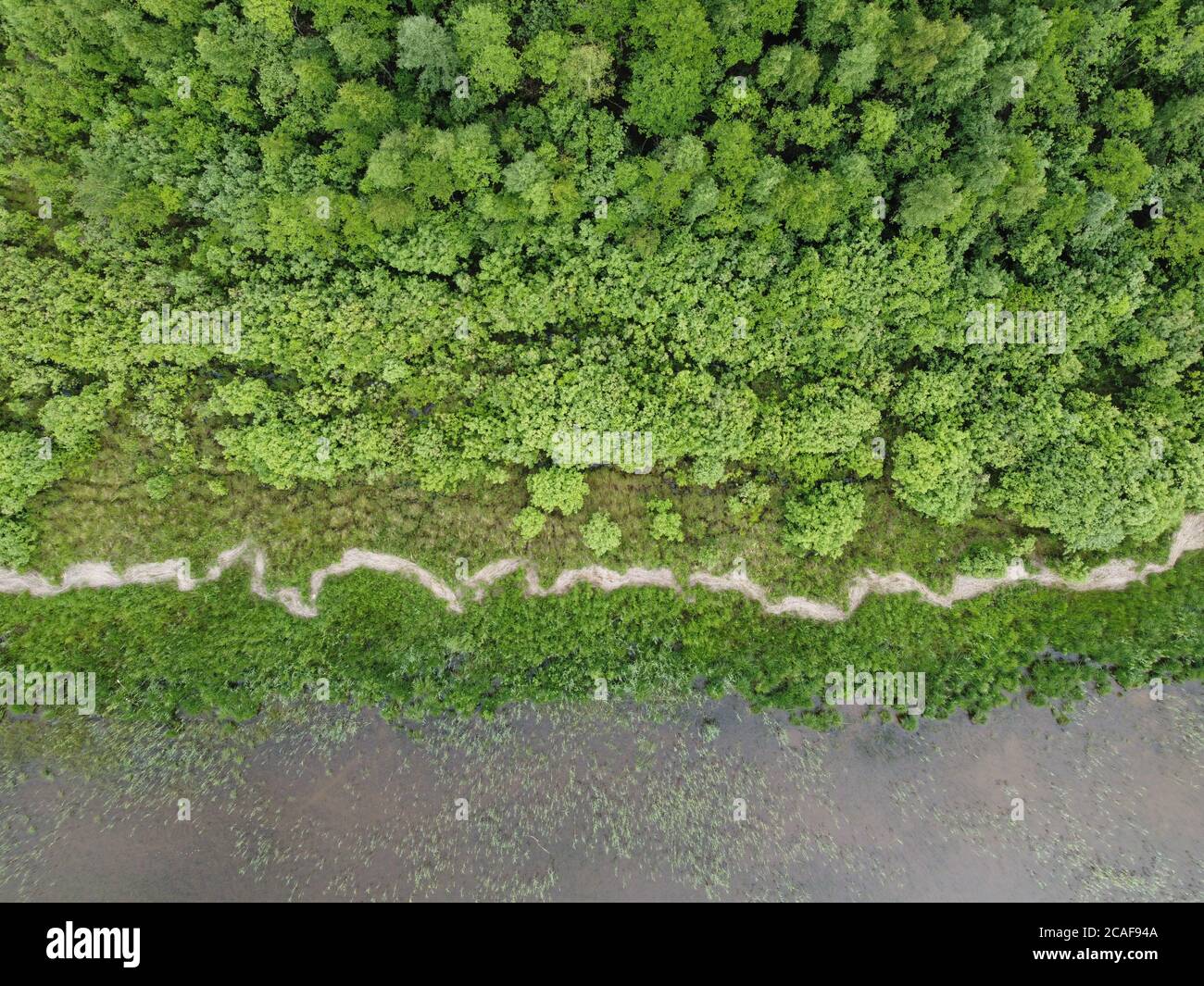 view of the green forest from above, aerial photography Stock Photo - Alamy