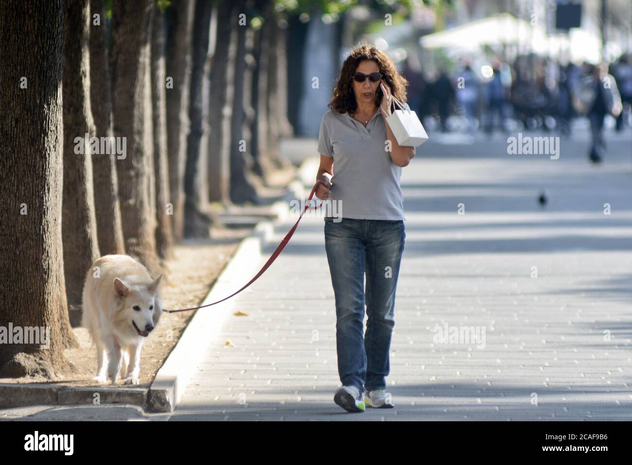 Woman walking her dog and talking on the phone in Piazza Umberto I, Via Sparano da Bari. Bari, Italy Stock Photo