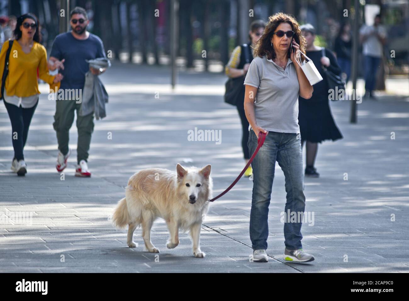 Woman walking her dog and talking on the phone in Piazza Umberto I, Via Sparano da Bari. Bari, Italy Stock Photo