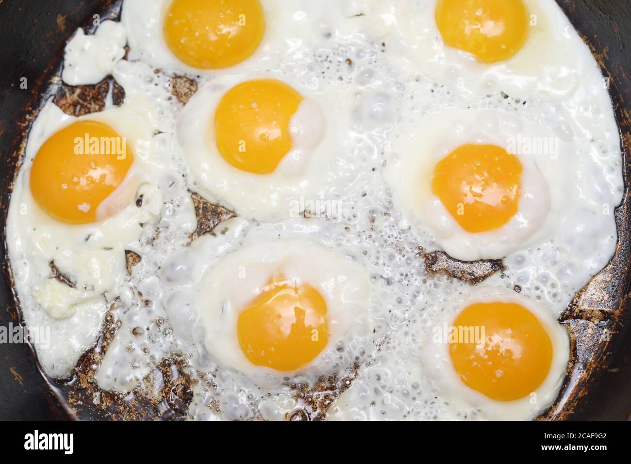 Fried eggs in a pan Stock Photo