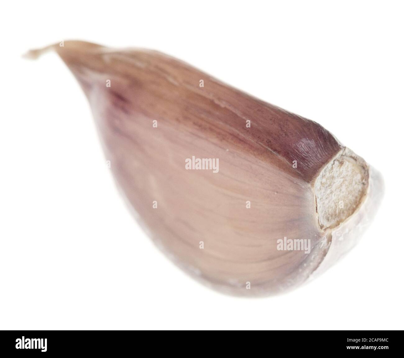 Garlic clove isolated on white background Stock Photo - Alamy
