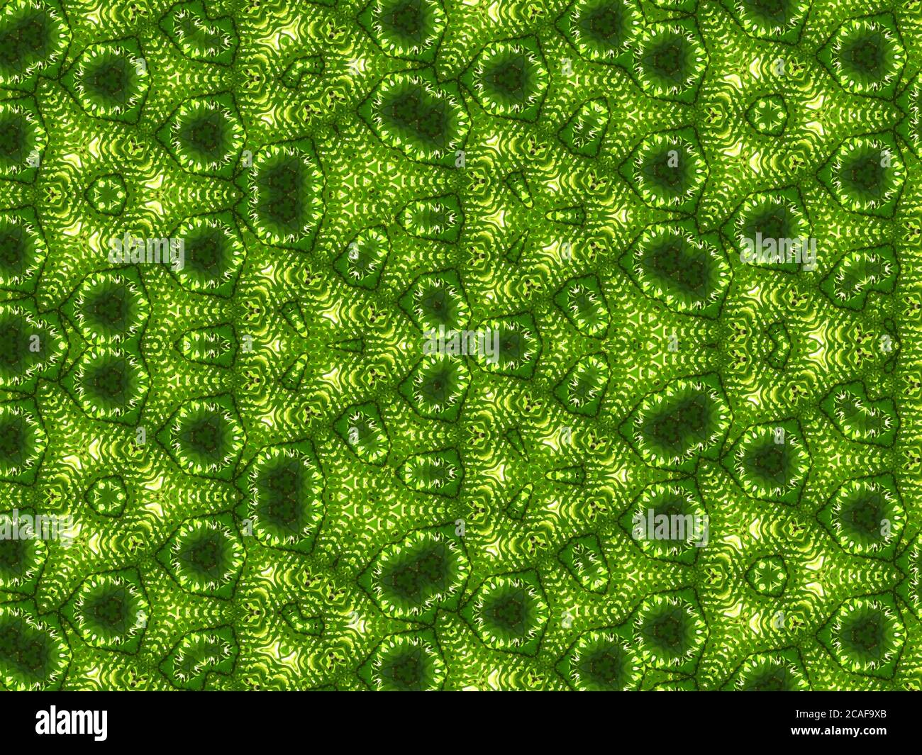Abstract background with beautiful green patterns - perfect for ...