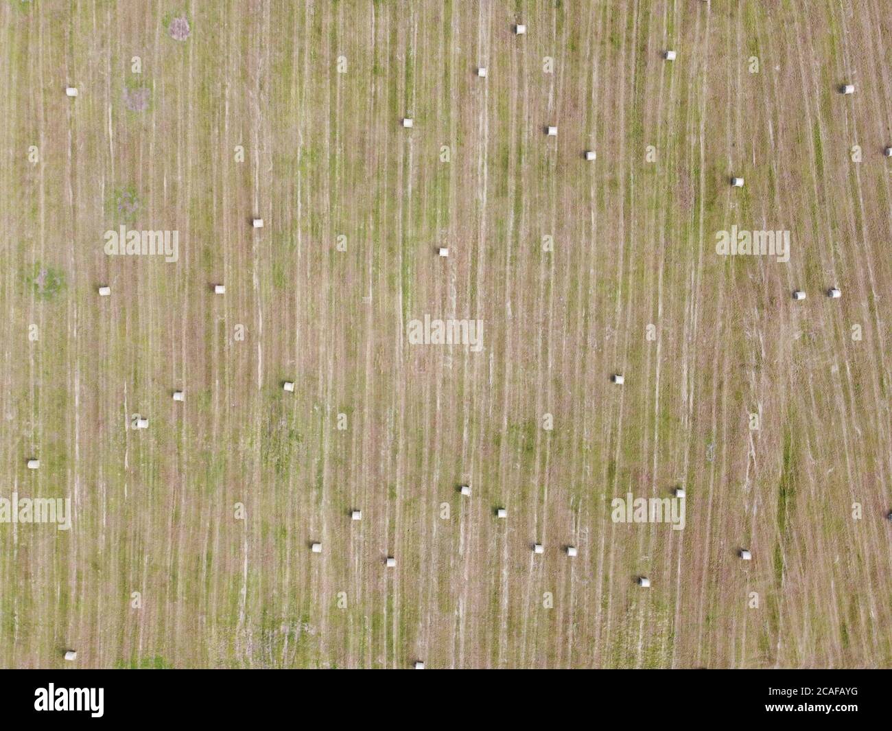 Aerial view of square hay bales in field after harvest Stock Photo - Alamy