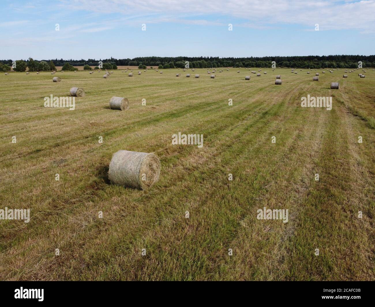 Aerial view of square hay bales in field after harvest Stock Photo Alamy