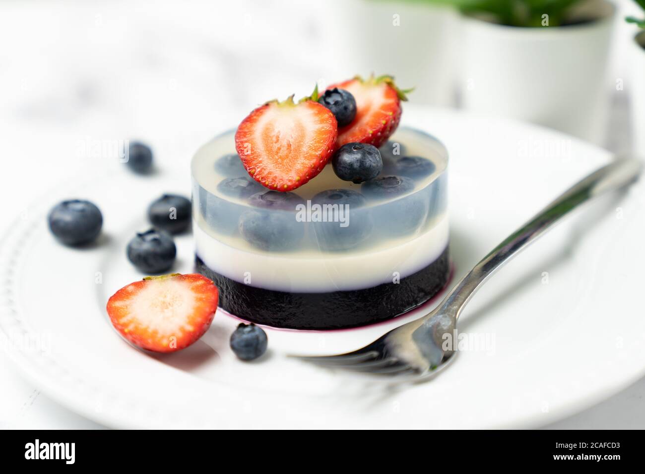 Blueberry fruit agar agar or jelly dessert Stock Photo