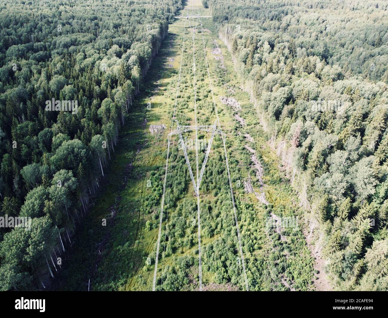 Aerial top down view of the power lines located in the forest Stock ...