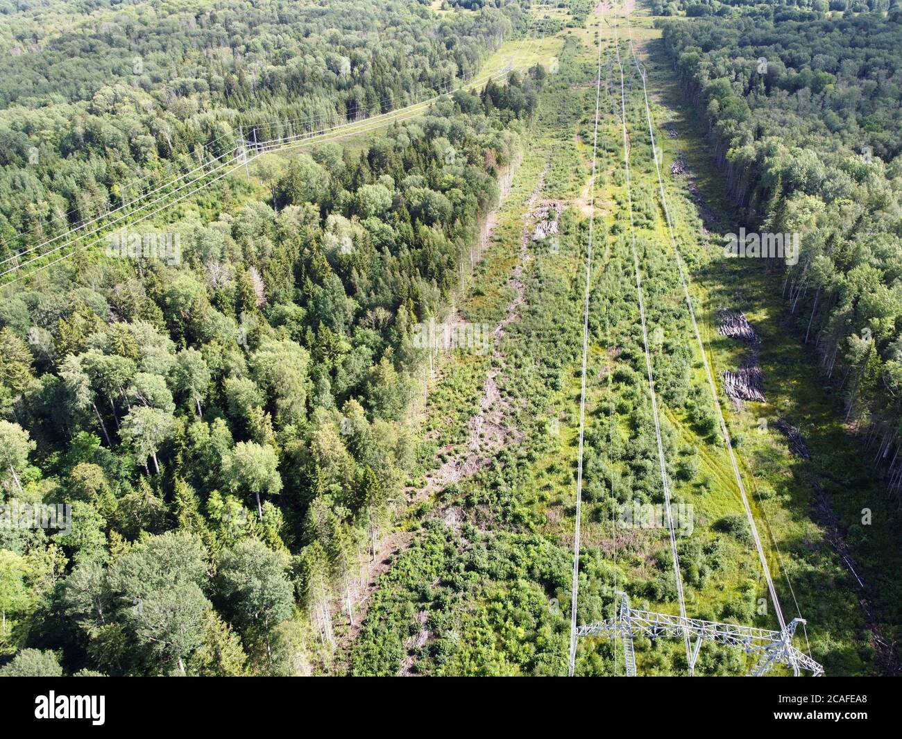 Aerial top down view of the power lines located in the forest Stock ...