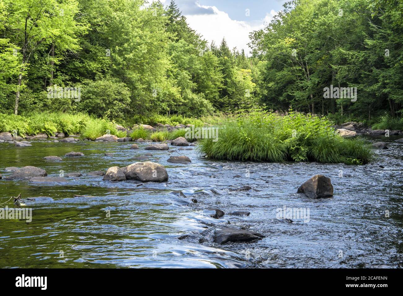 Beautiful shot of the Sacandaga River and the surrounding trees in the Adirondacks of New York State Stock Photo