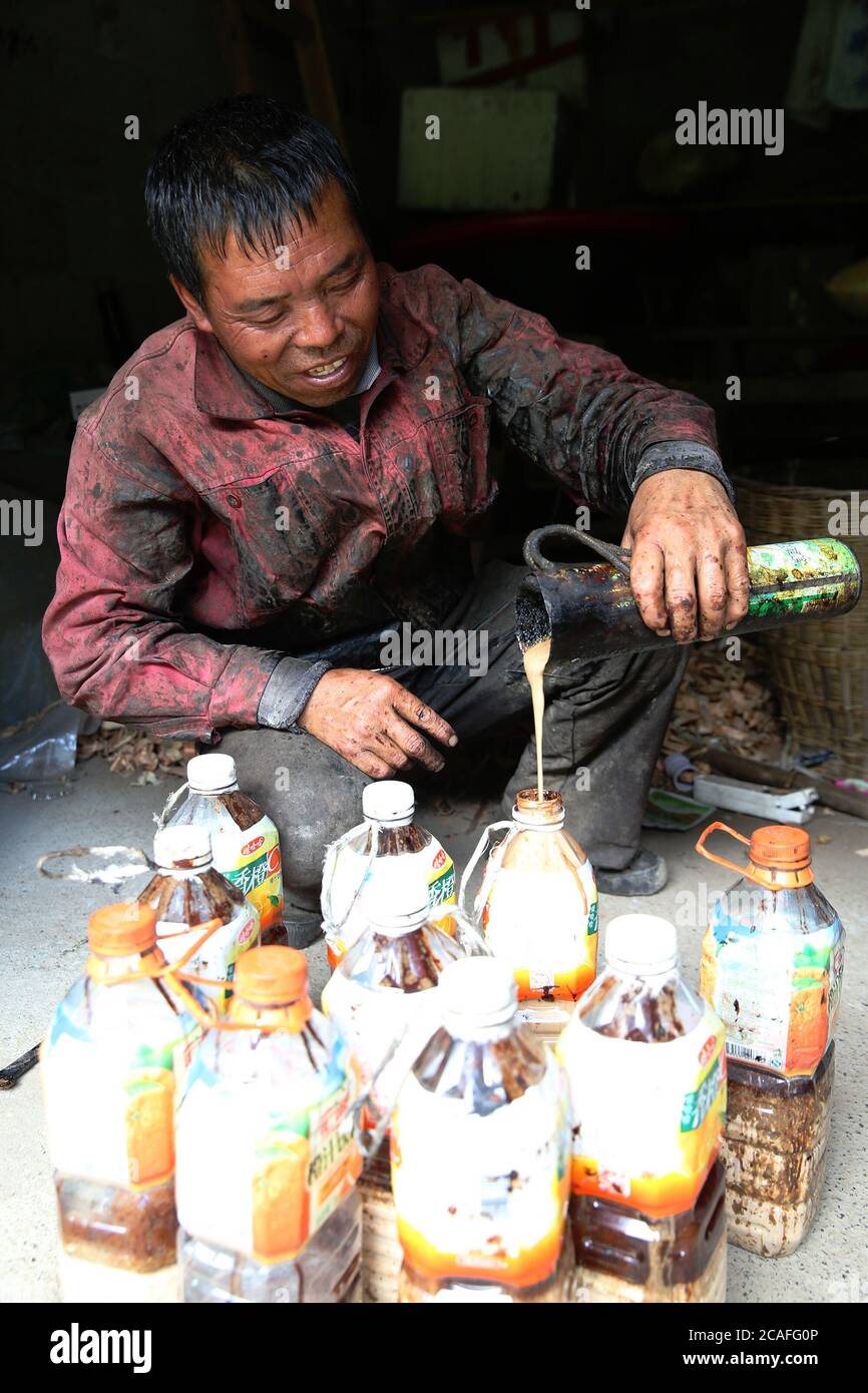 Chongqing, Chongqing, China. 7th Aug, 2020. SichuanÃ¯Â¼Å'CHINA-Raw lacquer is the traditional raw material that the production such as furniture brushwork, as the popularity of all sorts of coating and paint, raw lacquer already faded out people's vision, the person that is engaged in cutting lacquer also is very rare.Lu Faxuan, 57, a painter from Jintang Village, Baitu Township, Qianjiang District, Chongqing, has been cutting paint for 32 years. Over the years, he has farmed the local sumac to pick and cut raw lacquer. High summer is the season for picking and cutting raw lacquer. Mr. Lu s Stock Photo