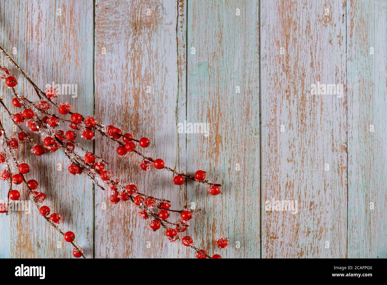 Christmas background with branches of red holly berries. Copy space ...