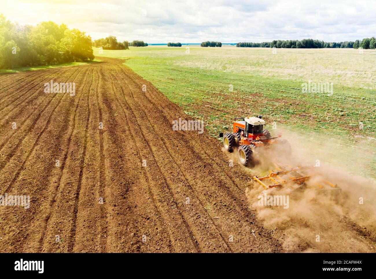 Agriculture machine harvesting crop in fields. Tractor pulls a mechanism for haymaking. Harvesting in autumn in morning at dawn. agribusiness in the Stock Photo