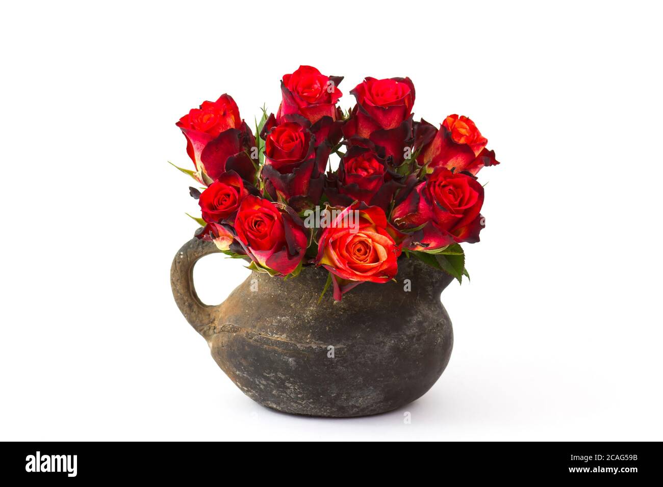 red roses in a vase on white background Stock Photo - Alamy