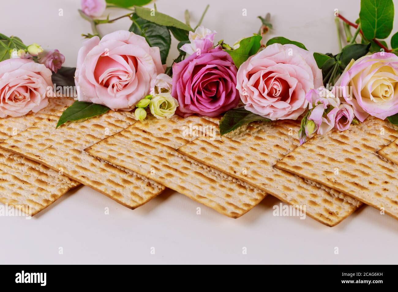 Israeli Roses Israeli matzah bread with pink roses. Jewish Passover holiday concept ...