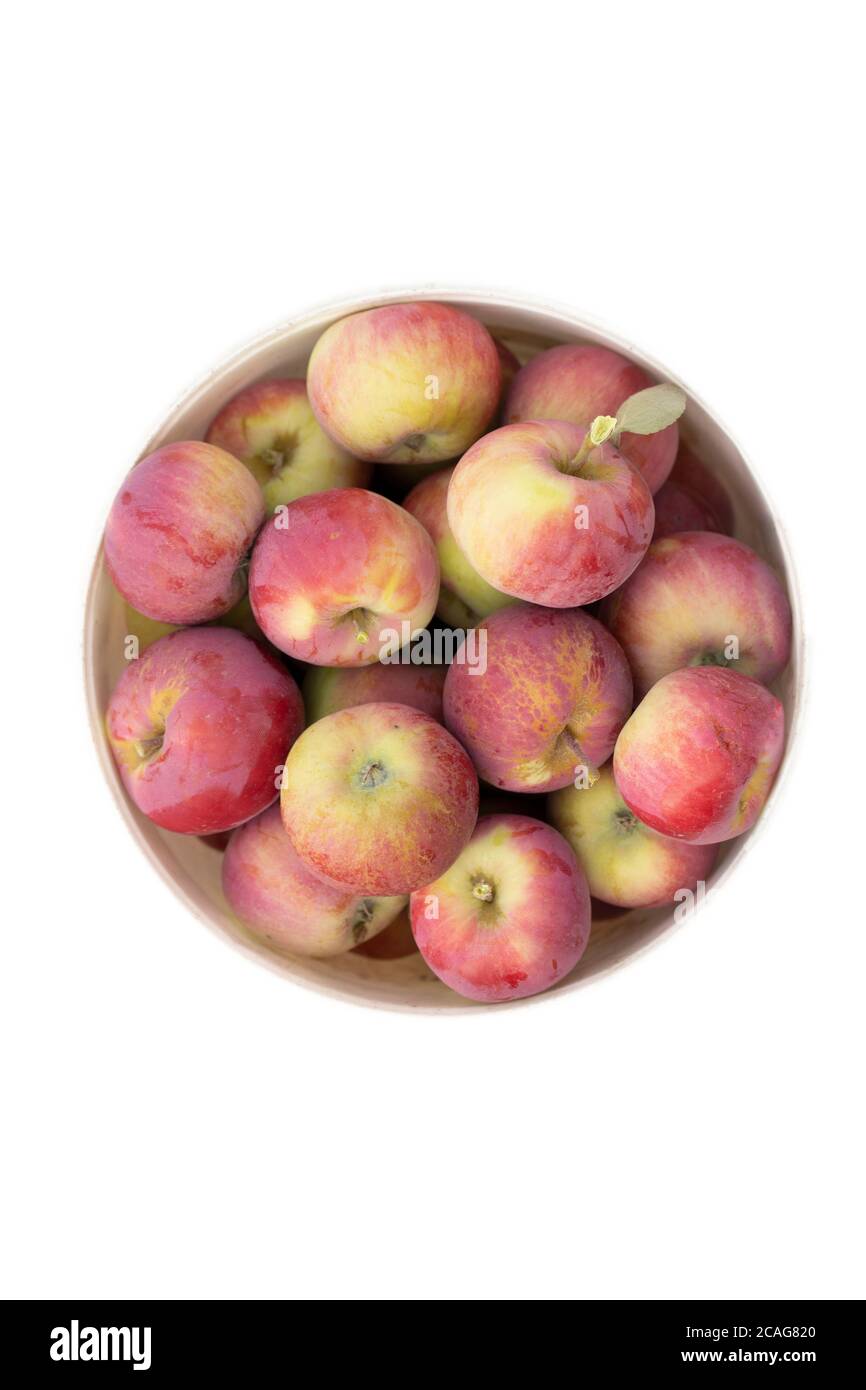 Apple Harvest Bucket Cut Out Stock Images & Pictures - Alamy