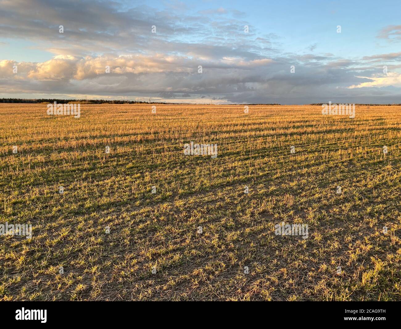 Spring agricultural field at sunset Stock Photo - Alamy