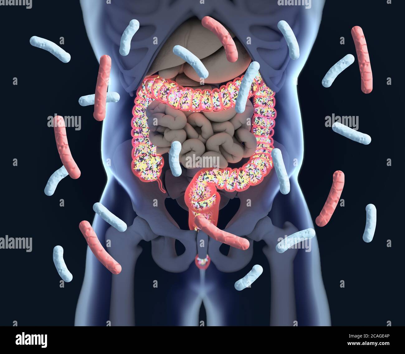 Бактерии для кишечника. Бактерии в кишечник ечеловек. Кишечник бактерии микробиом. Полезные бактерии. Микробиом кишечника.