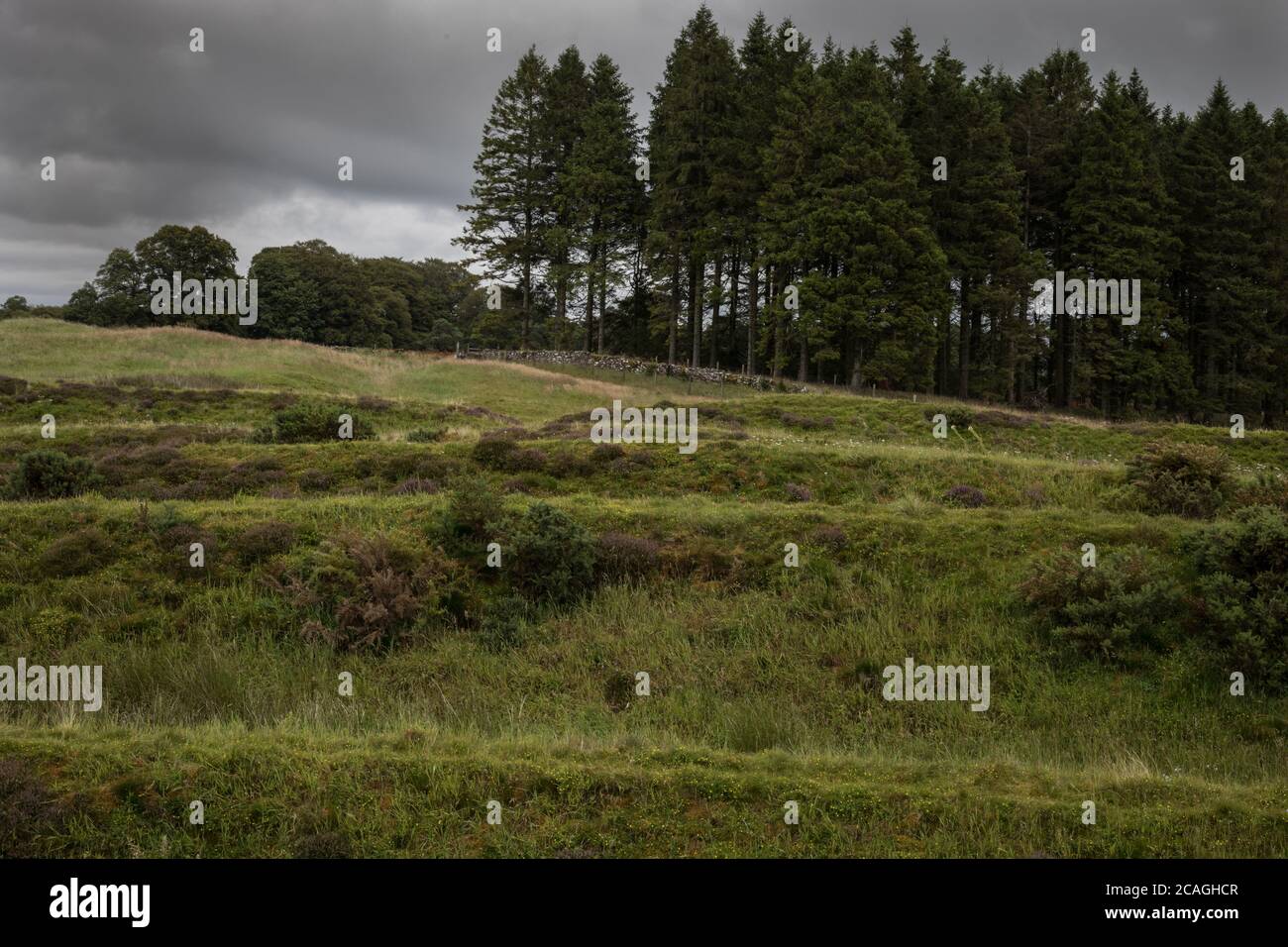 Ardoch Roman Fort, near Braco, Scotland, on 5 August 2020. 127 metres