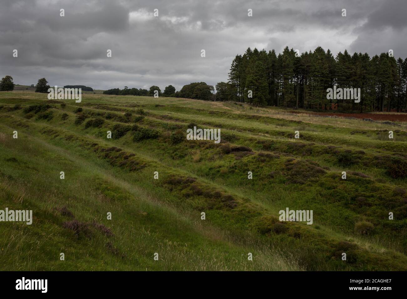 Ardoch Roman Fort, near Braco, Scotland, on 5 August 2020. 127 metres