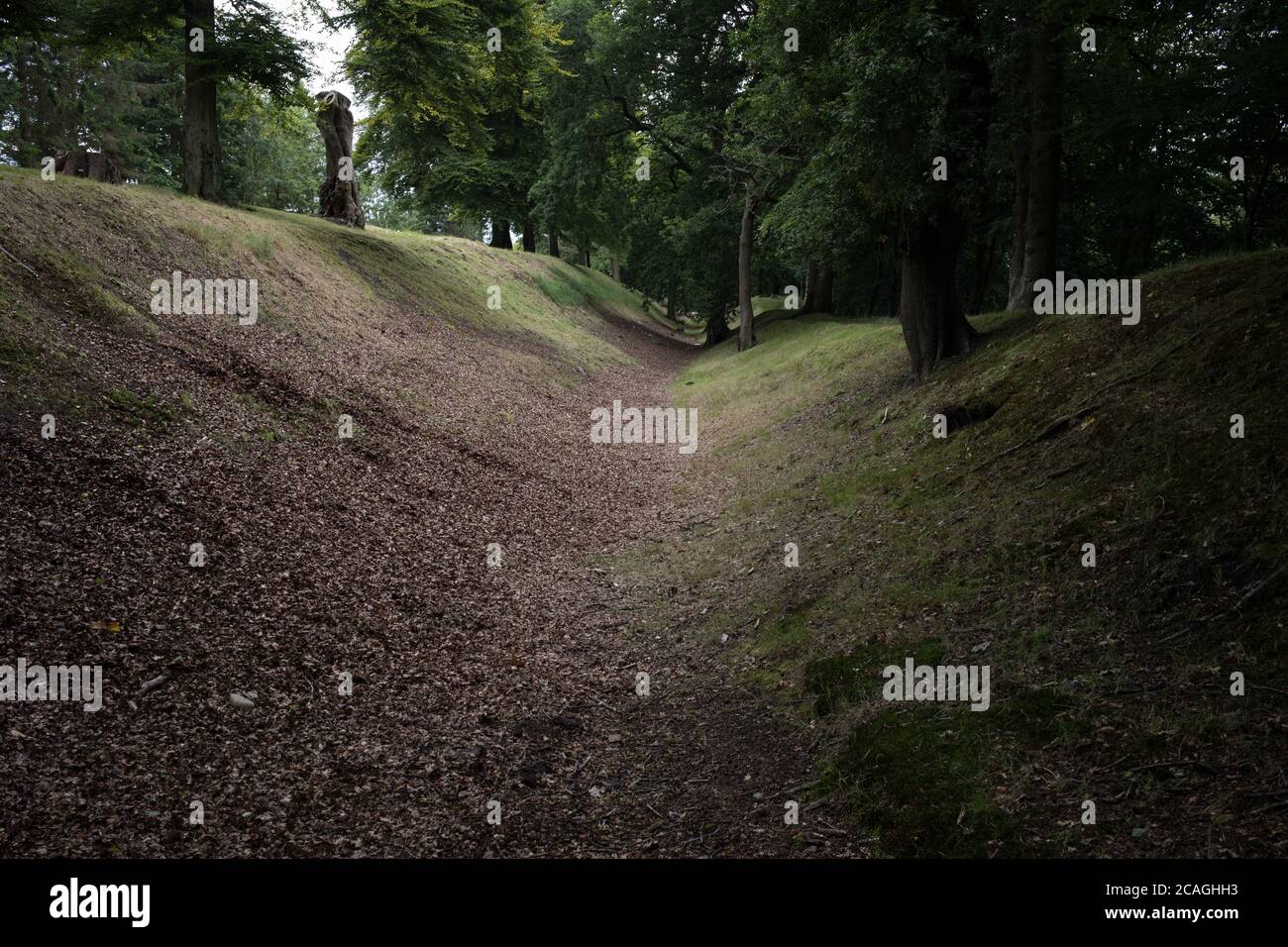 Roman-era Antonine Wall ditch at Watling Lodge, in Falkirk, Scotland, on 6 August 2020. Stock Photo