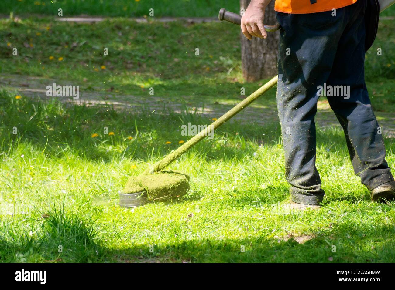 grass care with brush cutter. working with professional grade garden tool in the park. using trimmer line to mow grass on a sunny day in spring. piece Stock Photo