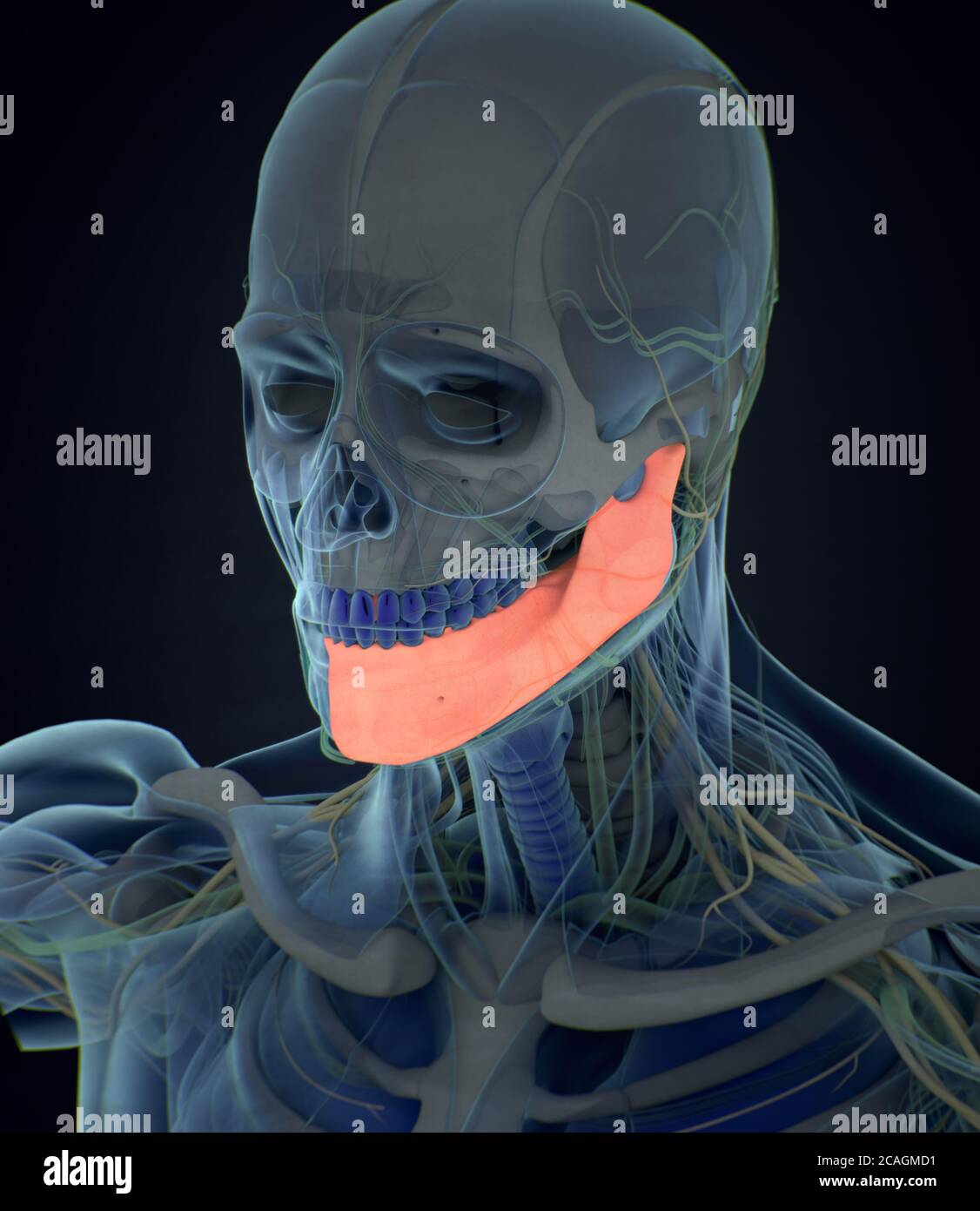 My Image 15