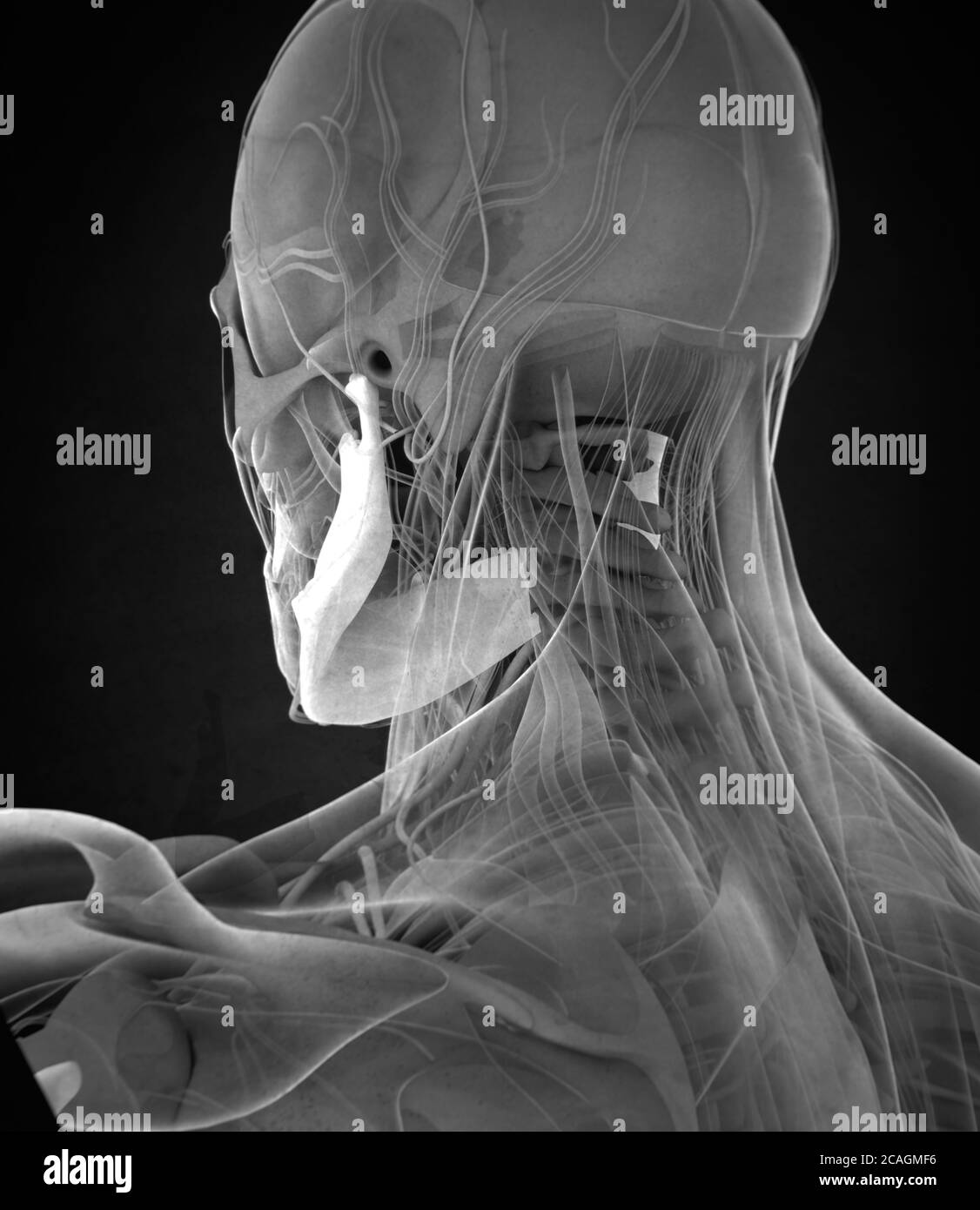 My Image 29