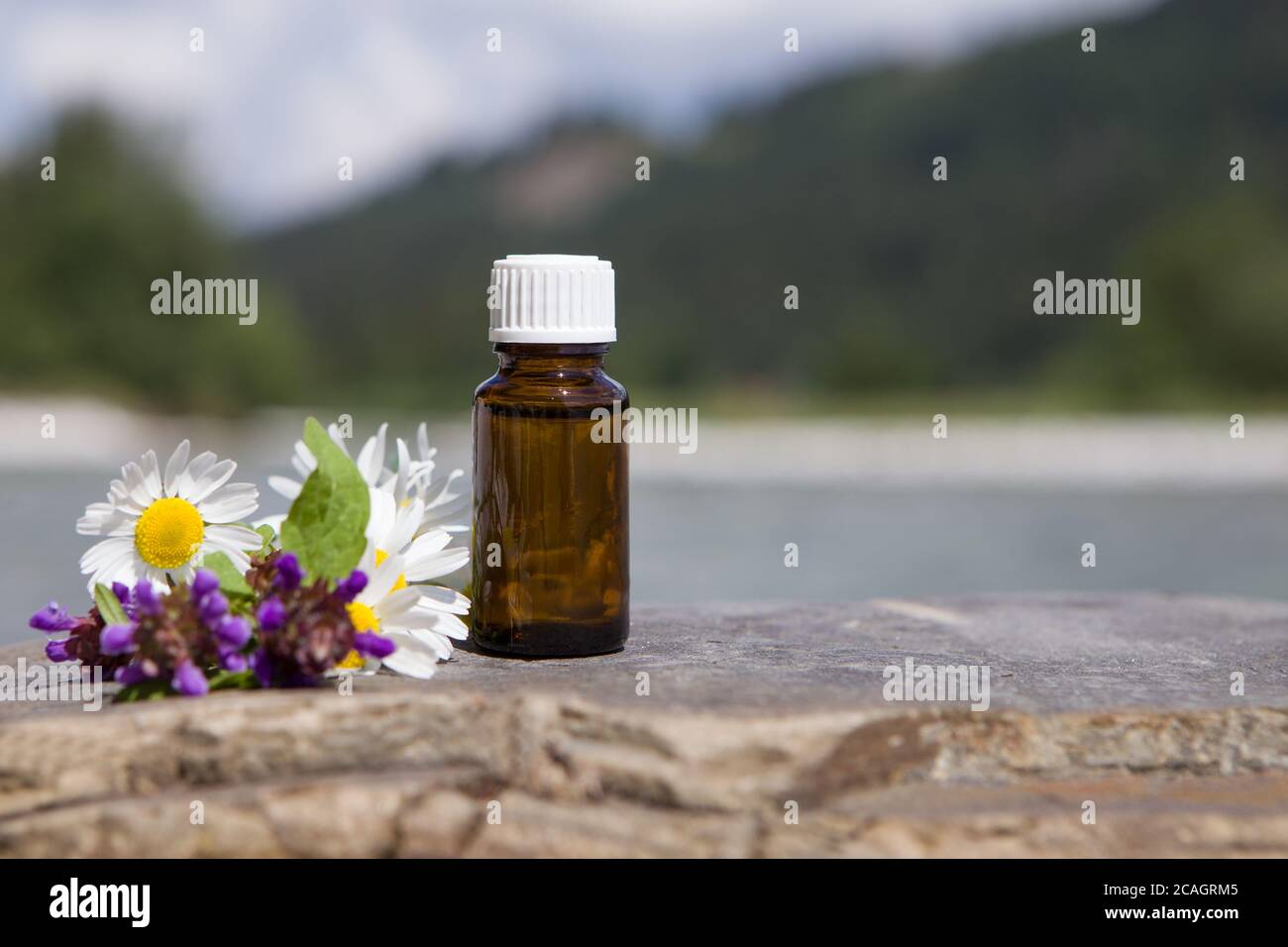 Ayurveda Alternative Medicine Spa Wellness Herbal Health Wellbeing