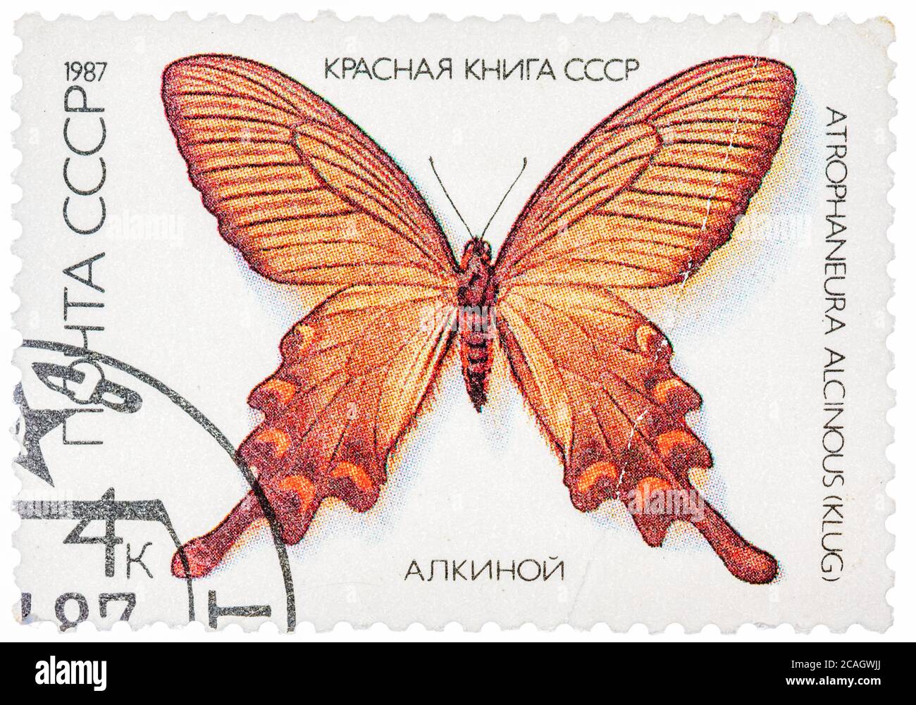 Stamp printed in the USSR shows butterfly Alcinous, series Stock Photo