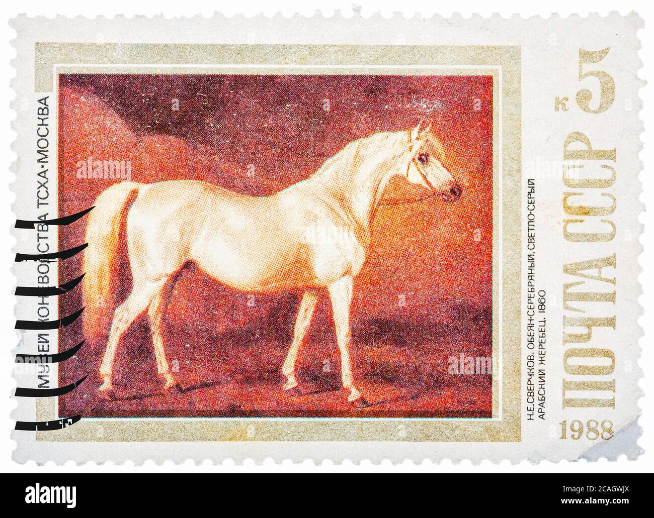 Stamp printed in USSR shows painting 'Light Gray Arabian Stallion' by Nikolai Sverchkov Stock Photo