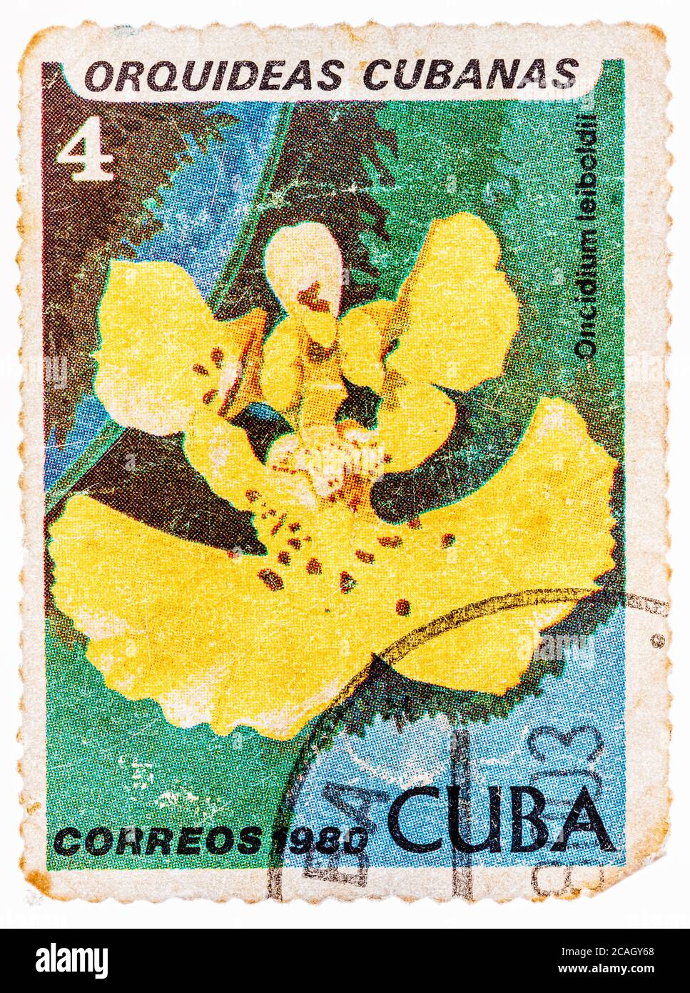 Stamp printed in the Cuba shows Oncidium Leiboldii, Orchid Stock Photo