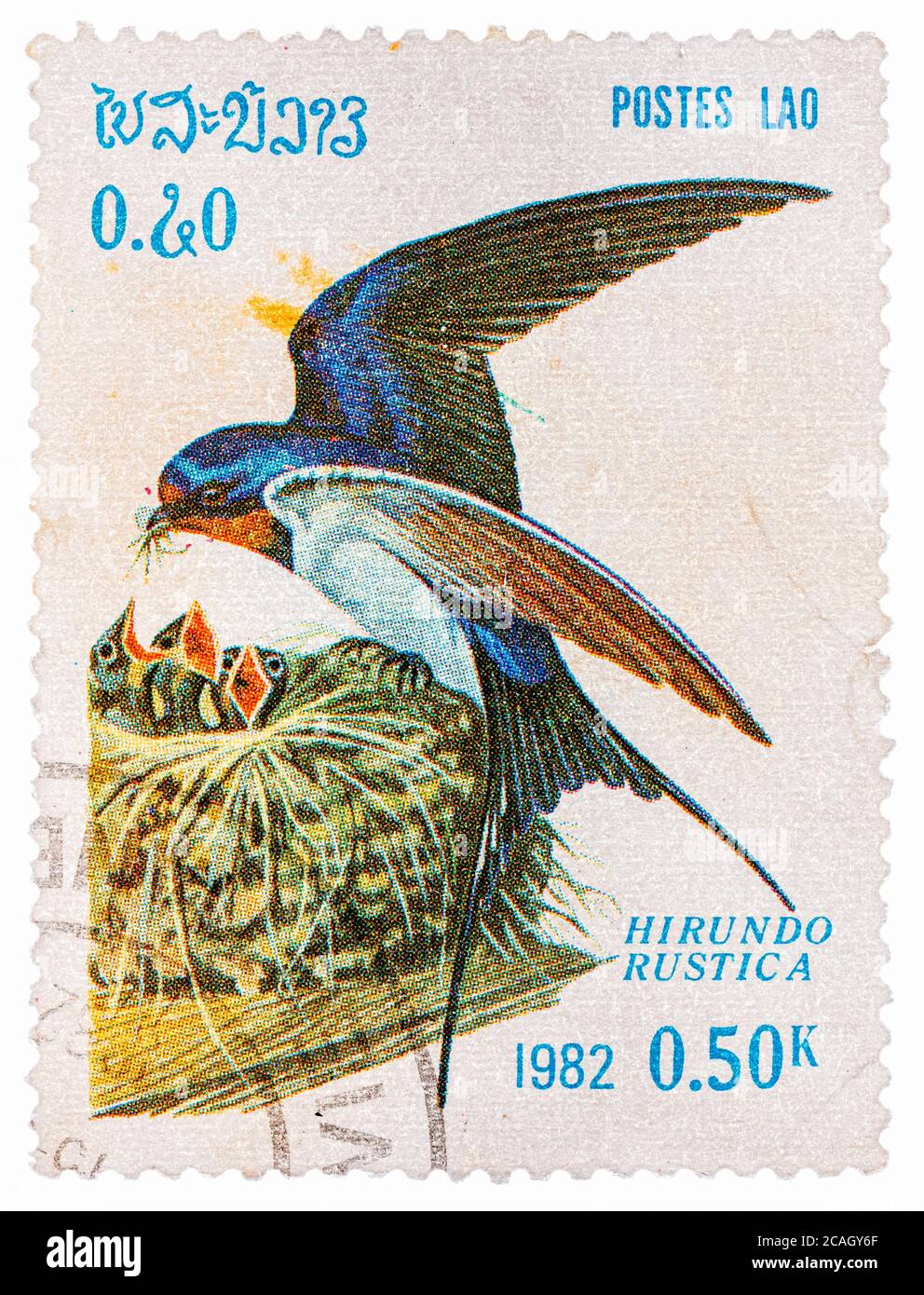 Stamp printed in LAOS shows Barn Swallow (Hirundo Rustica), from series Birds Stock Photo