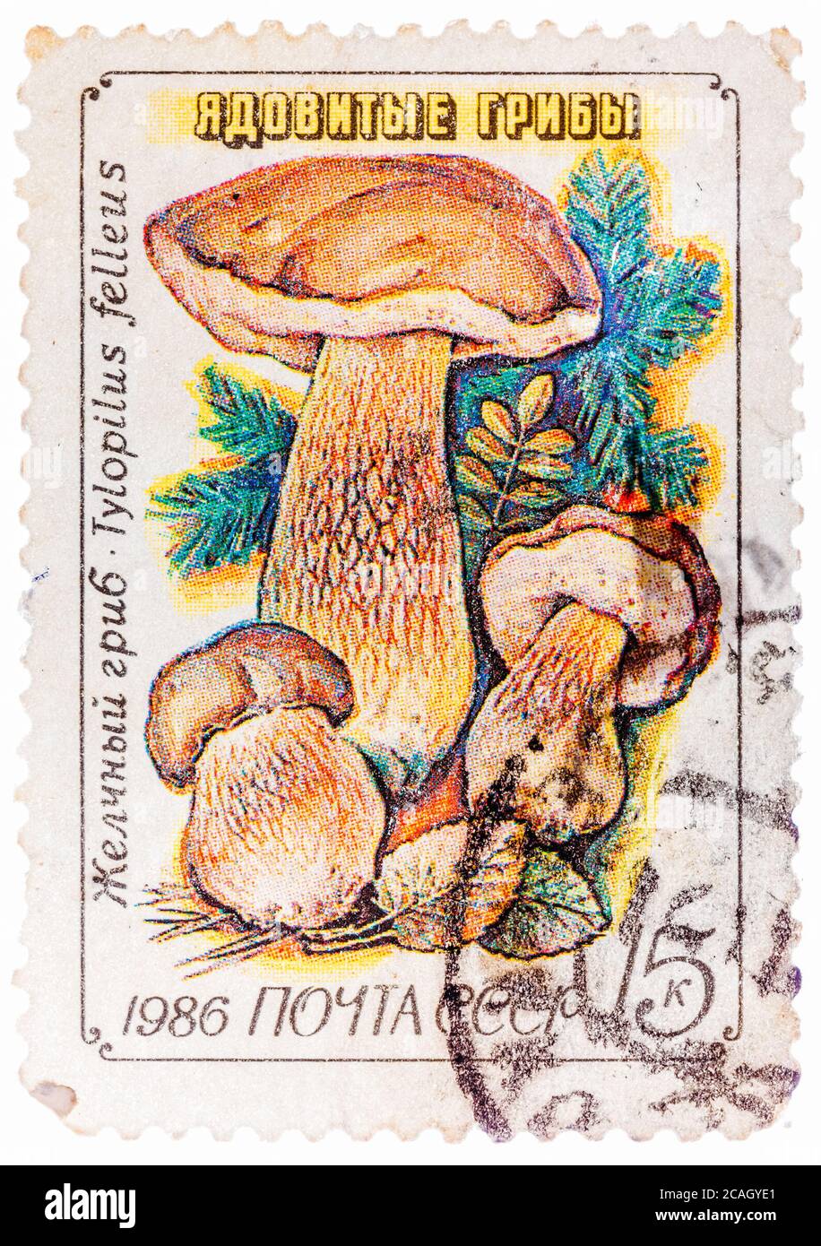 Stamp printed in USSR, Tylopilus felleus, formerly Boletus felleus mushroom in wild Stock Photo