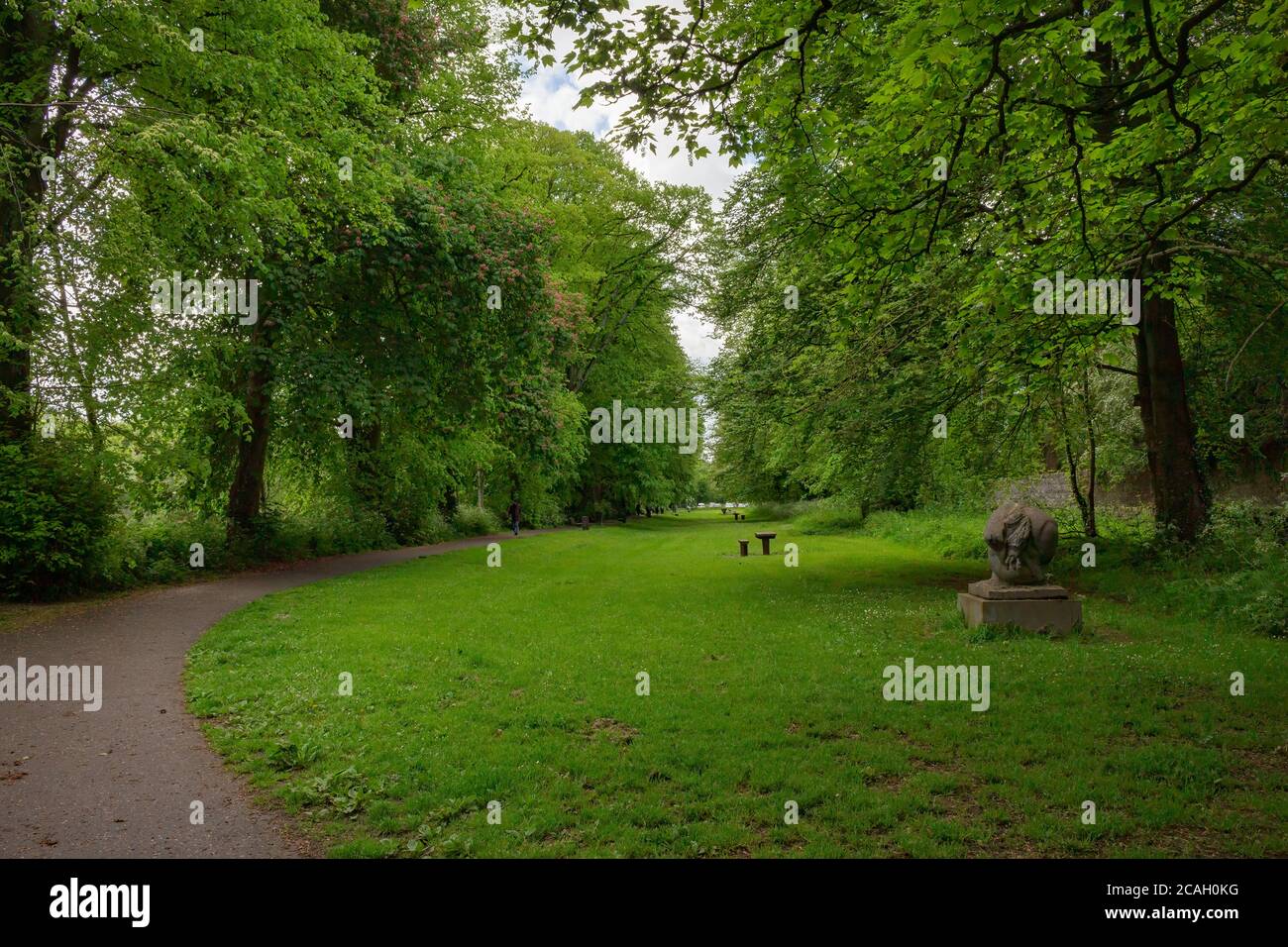 View of stunning forest from Kilkenny Castle Park, Ireland Stock Photo