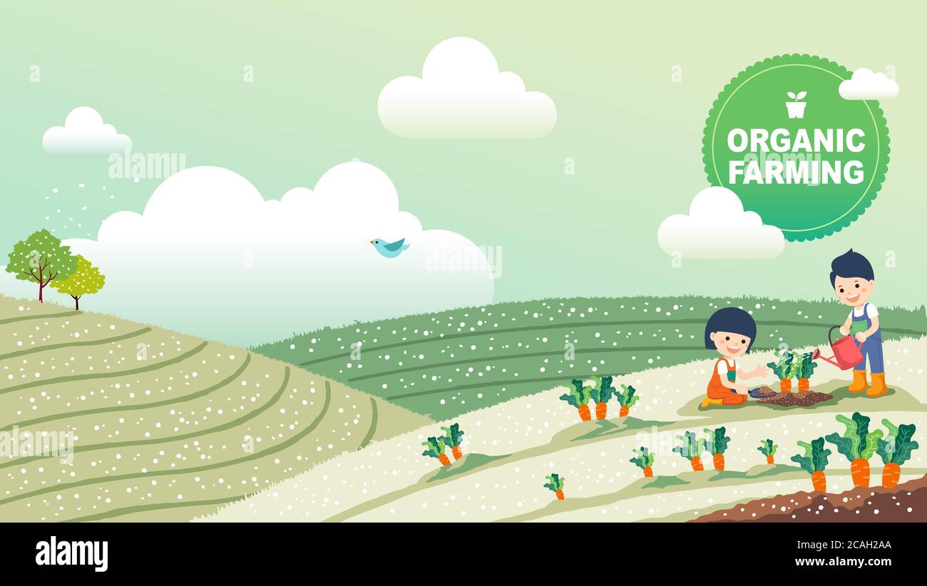 Children education concept, cute kids experiencing organic vegetable garden. Rural landscape background, vector illustration. Stock Vector