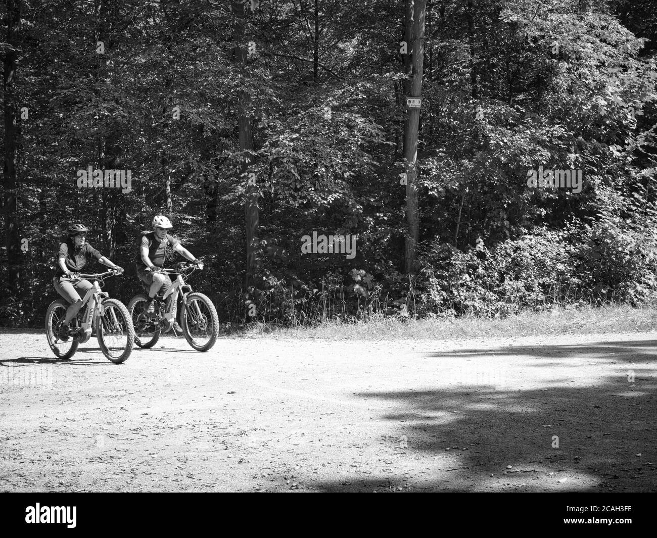 Ein Wald in dem Radfahrer unterwegs sind. Stock Photo