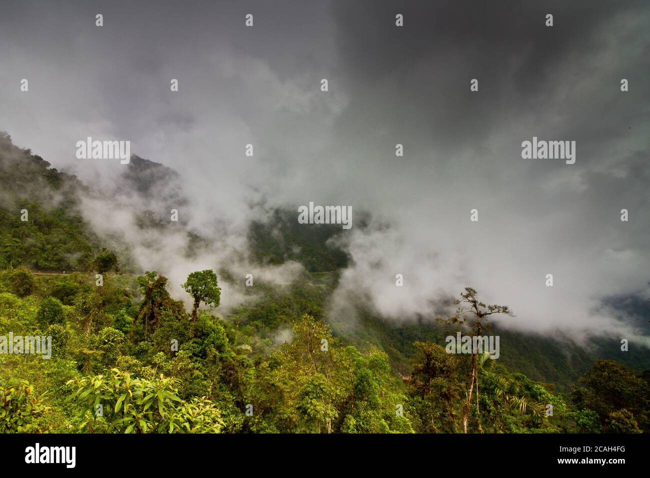 Woman coming out water hi-res stock photography and images - Alamy