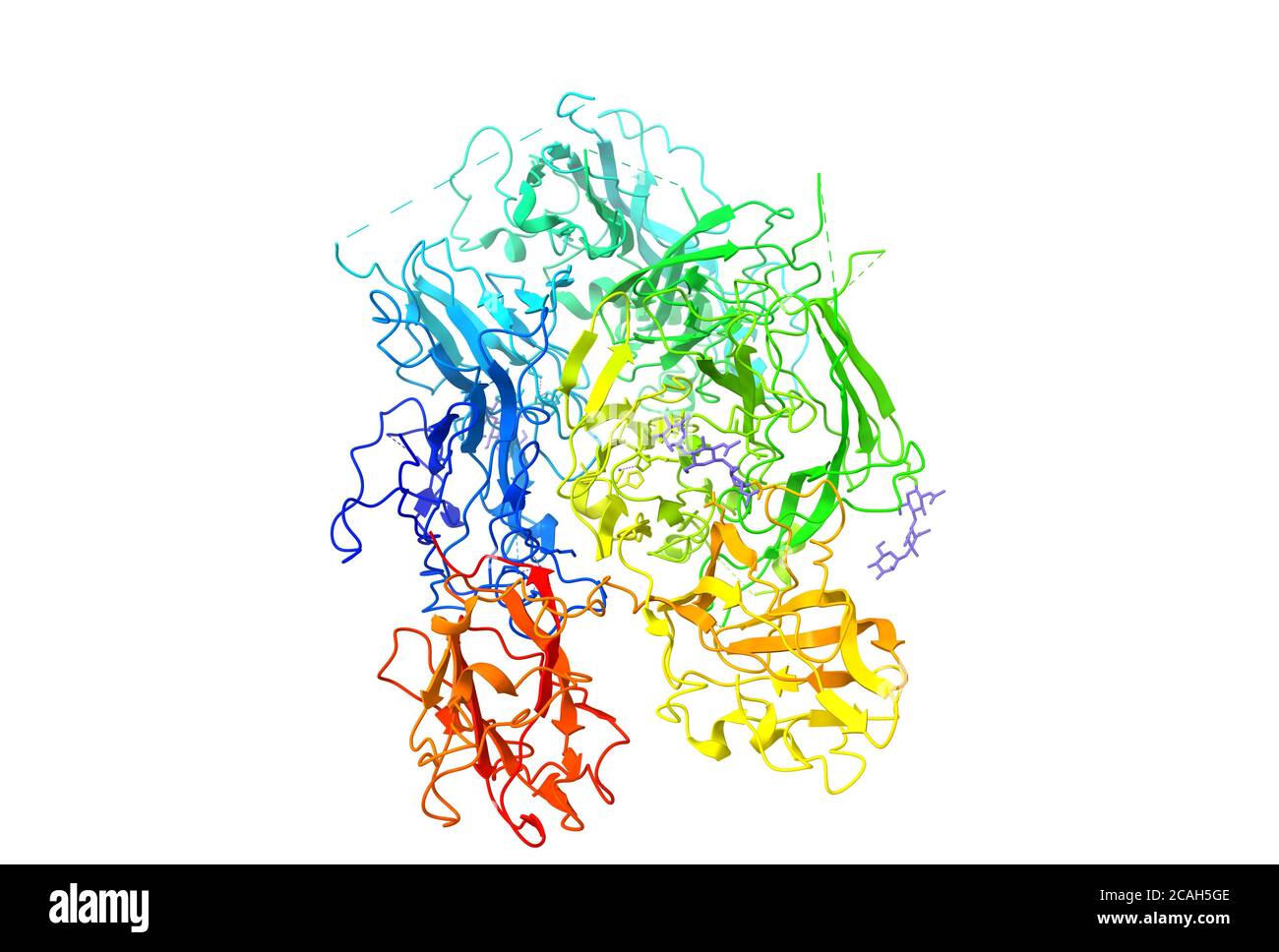 The tertiary structure of Human Coagulation Factor VIII associated with hemophilia A, cartoon model, 3D illustration Stock Photo