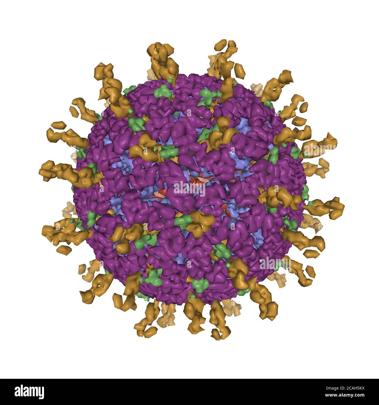 Atomic model of an infectious rotavirus particle, 3D Gaussian surface model, white background Stock Photo