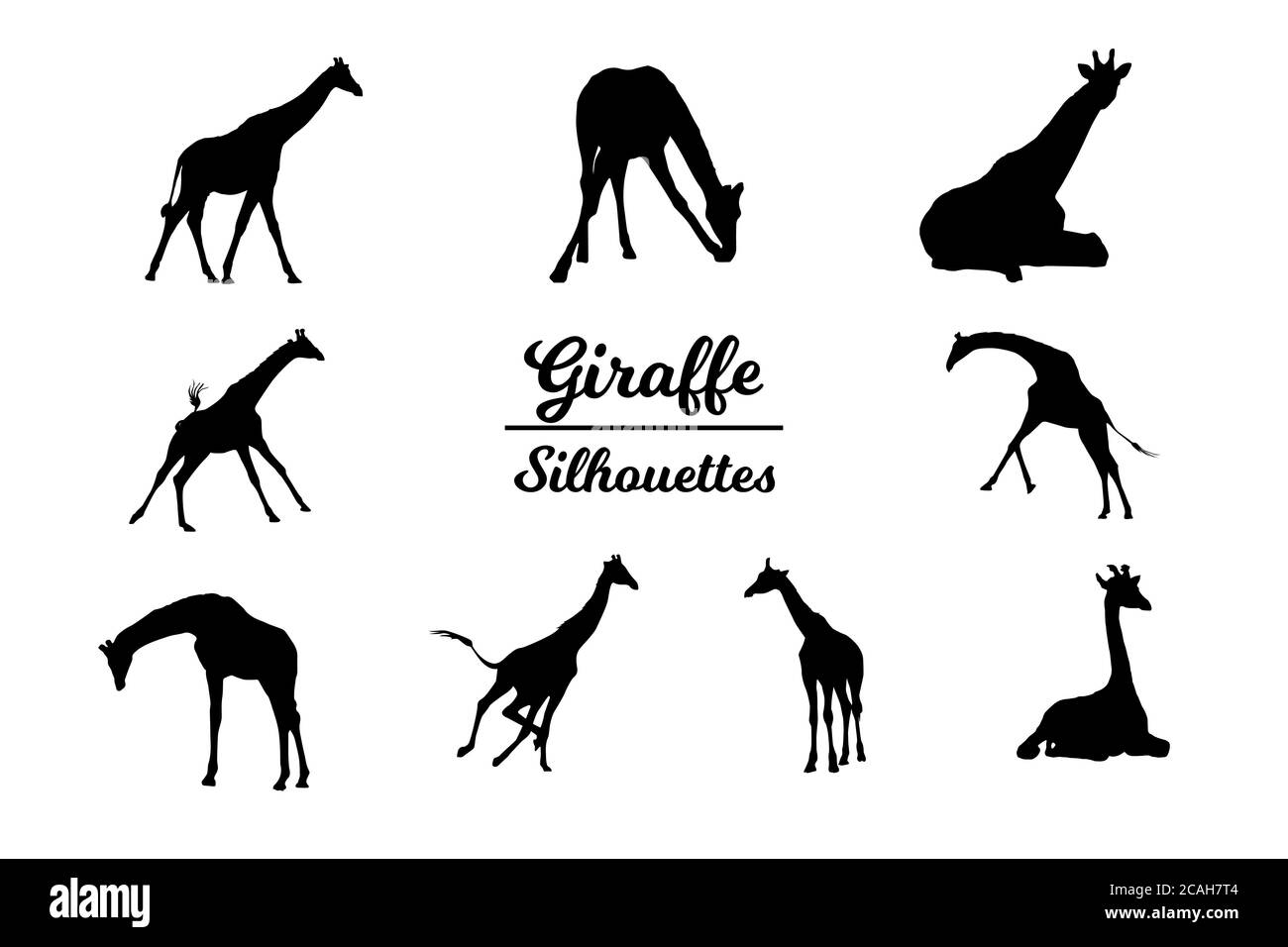Giraffe animal silhouettes. Black and white outline. Stock Photo