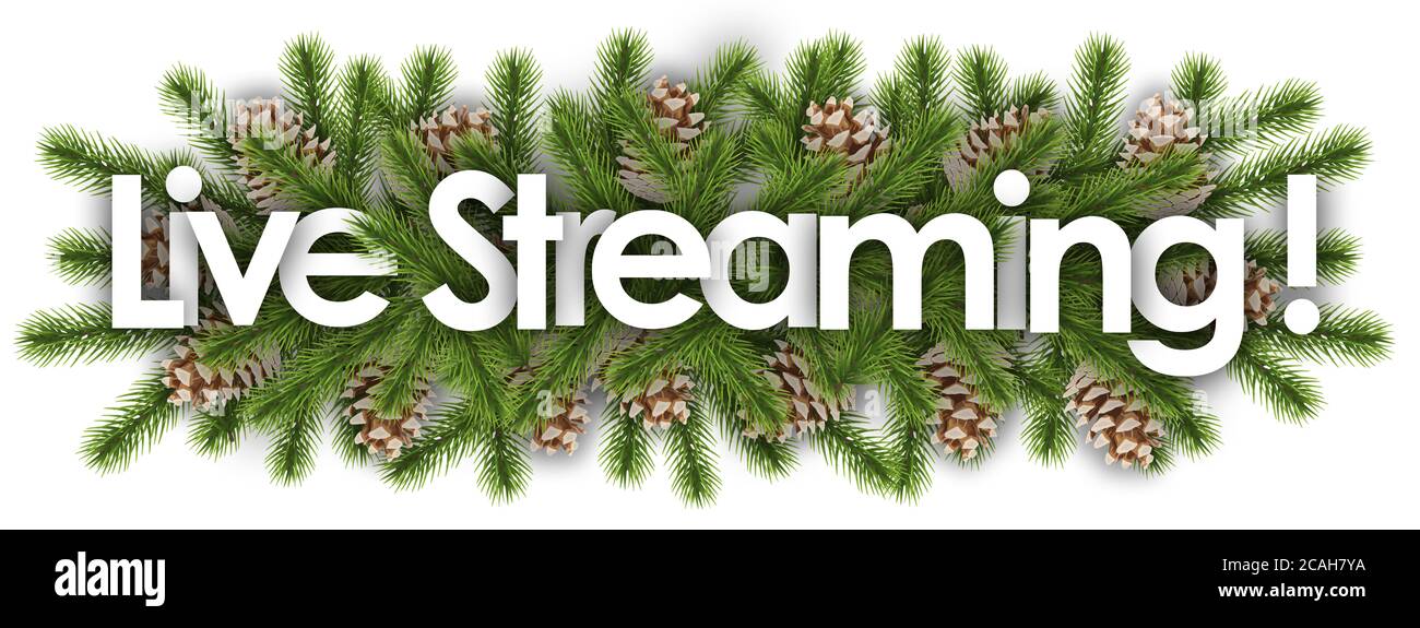 Melodies Of Christmas 2022 Livestream Live Streaming In Christmas Background - Pine Branchs Stock Photo - Alamy