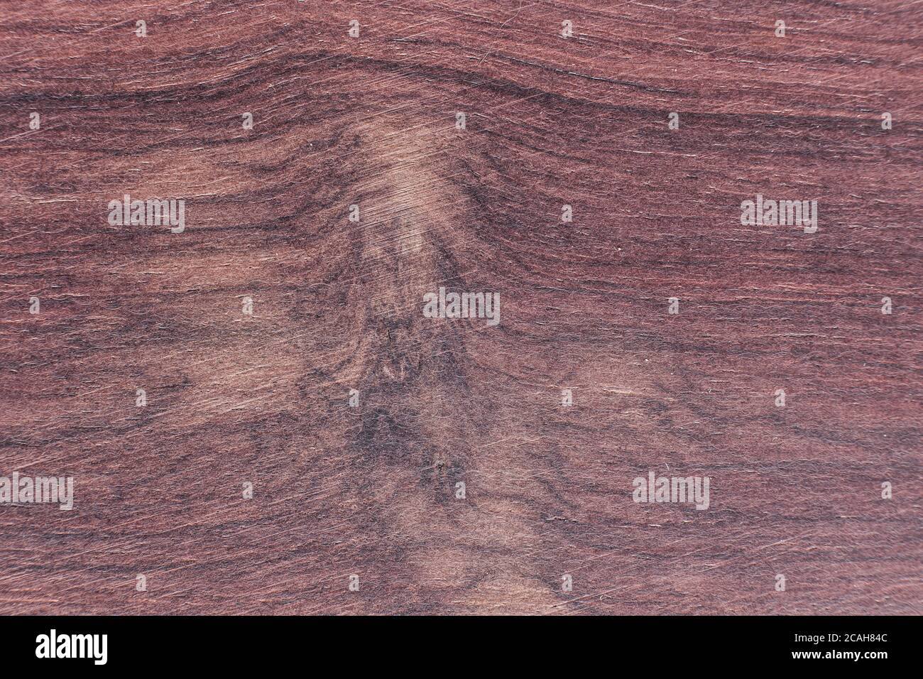 wood texture background - indian rosewood - Dalbergia latifolia Stock Photo