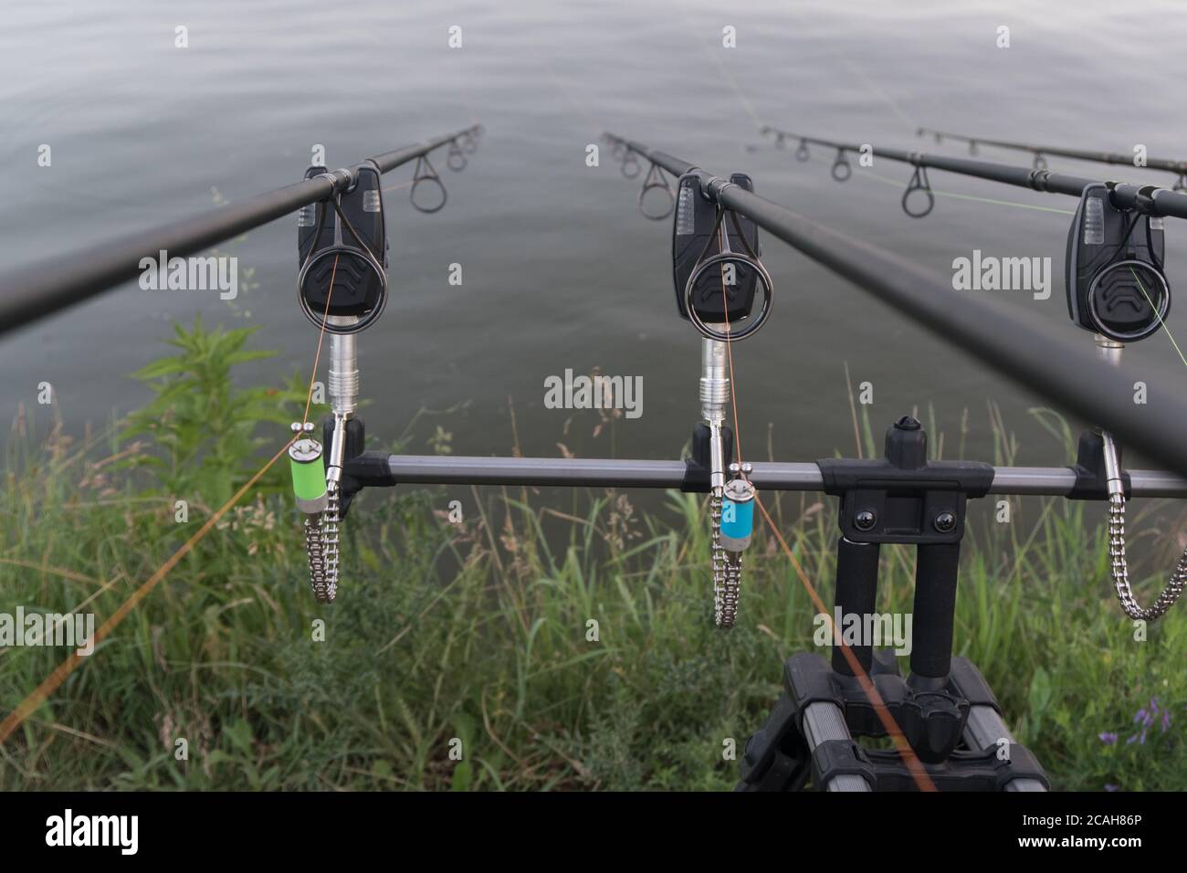 Fish bite alarm for carp fishing on the lakeshore Stock Photo - Alamy