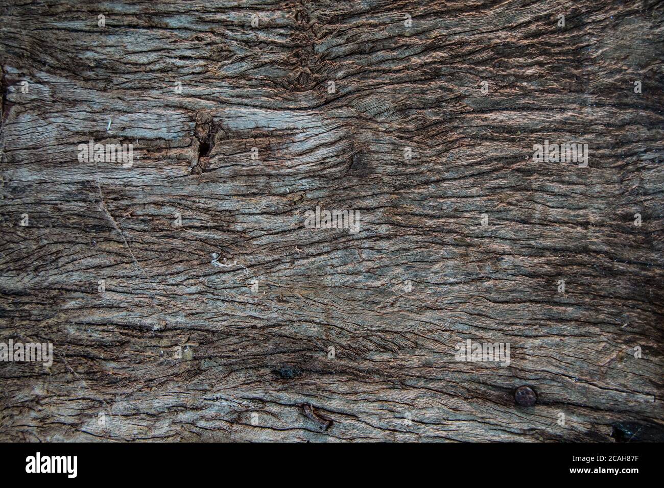 wood texture background Stock Photo