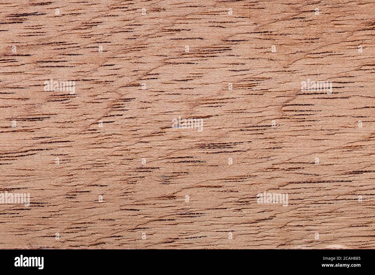wood texture background - brazilian cedar - cedrella fissilis Stock Photo