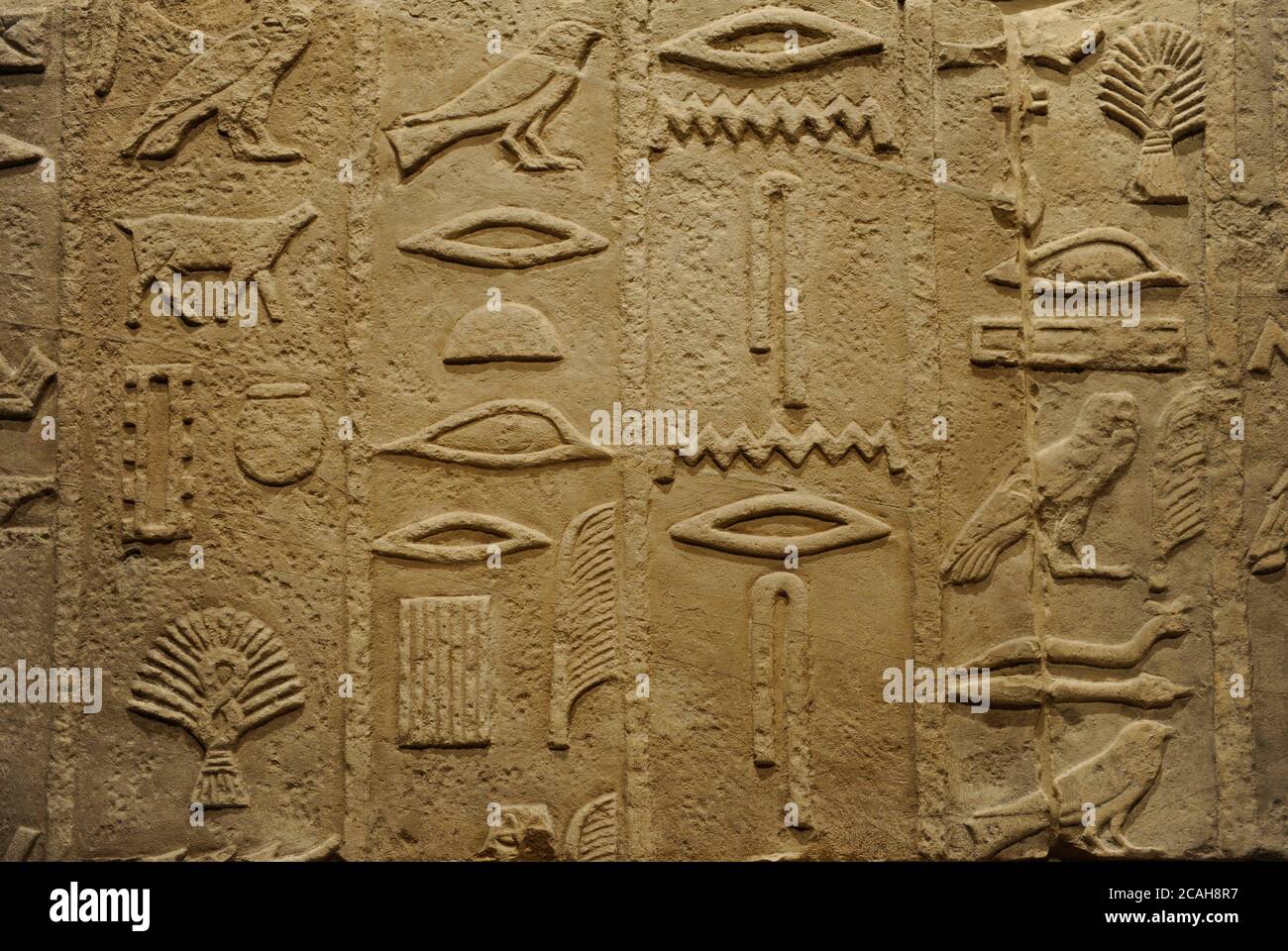 Ancient Egypt. Detail of hieroglyphic inscriptions on the burial chamber of the Methen or Metjen (high official). 4th Dynasty, c. 2575 BC. Limestone. Mastaba 6. Necropolis of north Sakkara. Old Kingdom. Neues Museum (New Museum). Berlin, Germany. Stock Photo