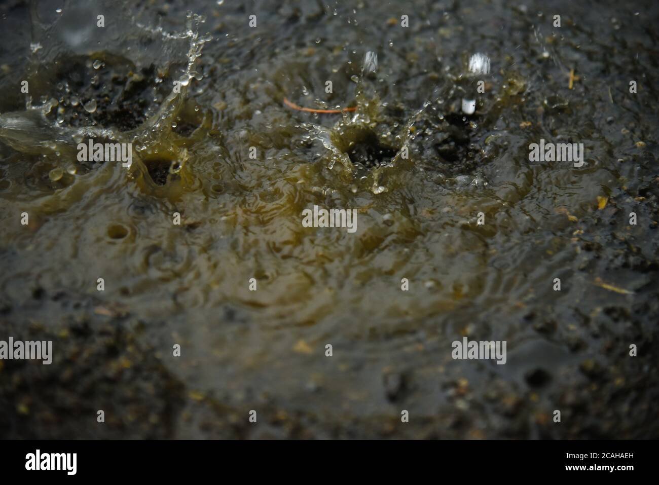 Rain water drops on rain water. heavy rain falling and water splashing useful background. Stock Photo