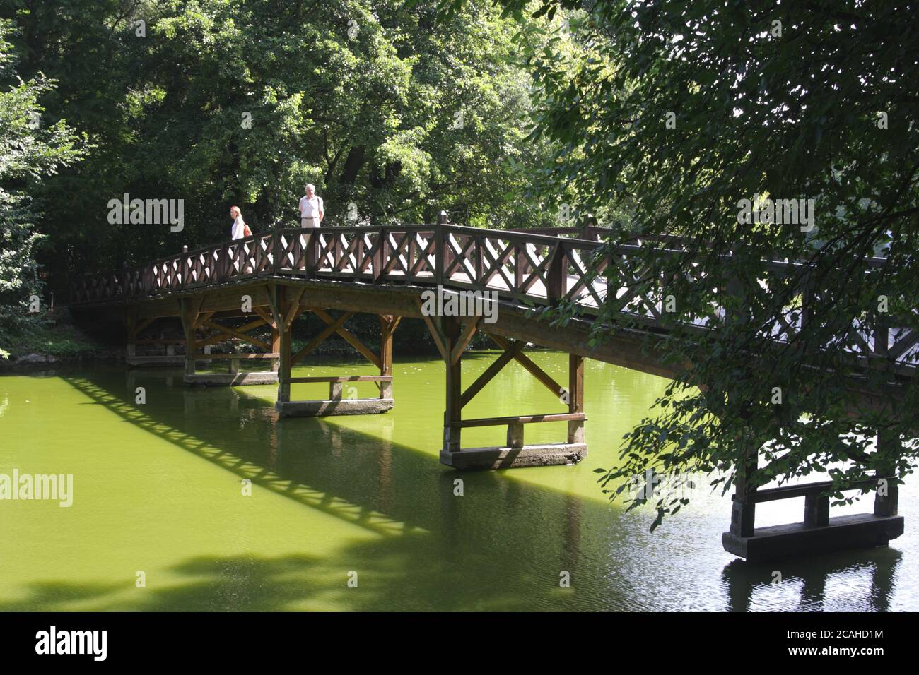 Footbridge in the English garden of the Brunswick Mansion, Martonvasar, Fejer County, Hungary Stock Photo