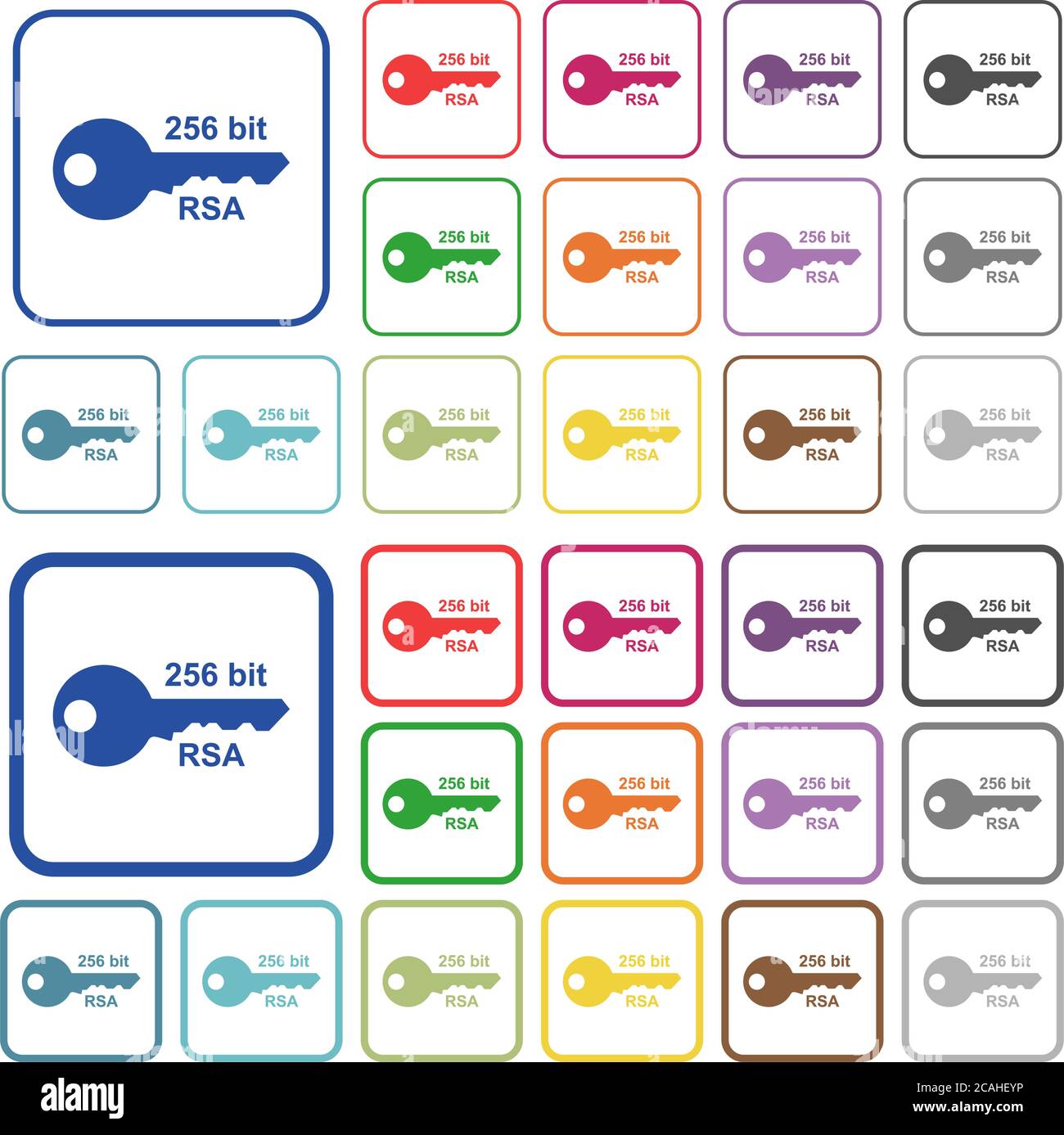 256 bit rsa encryption color flat icons in rounded square frames. Thin and thick versions included. Stock Vector