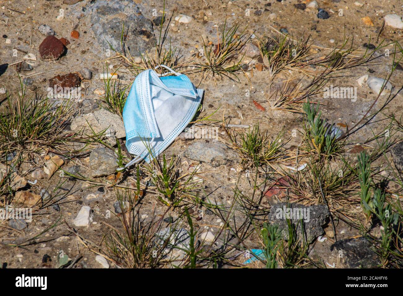 Used mask thrown into the wild. Pollution Stock Photo